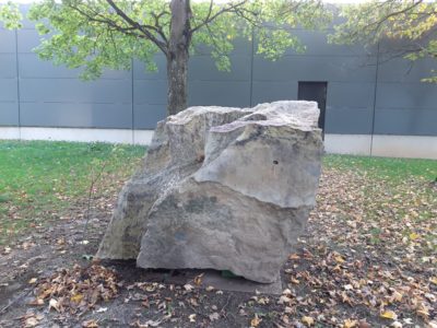 Une pierre, un arbre et une vidéo